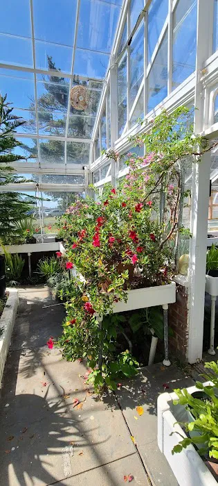 Meadowedge Greenhouse Picture 5