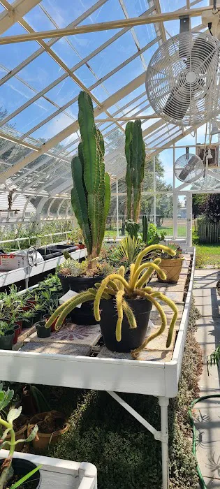 Meadowedge Greenhouse Picture 4