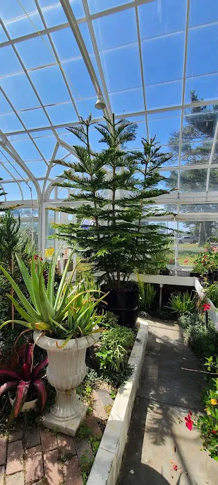 Meadowedge Greenhouse Picture 3