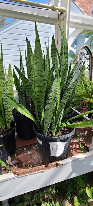 Meadowedge Greenhouse Picture 7