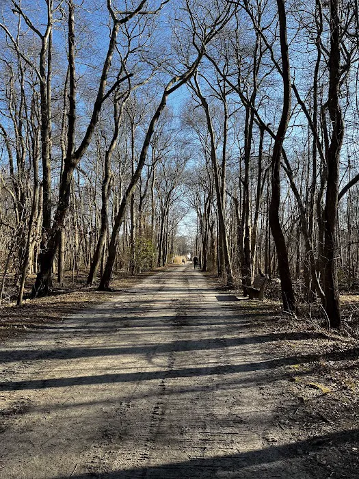 Gardiner County Park Picture 7