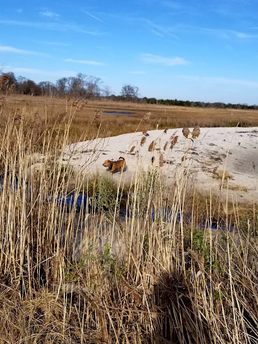 Gardiner County Park Picture 6