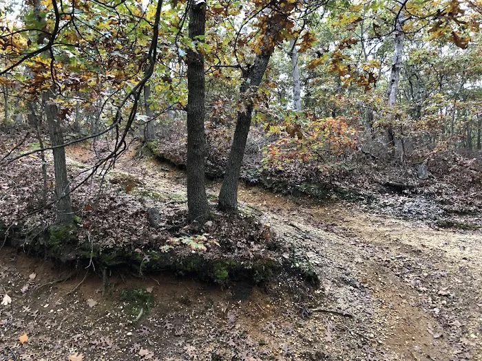 Pine Ridge Conservation Area Picture 2