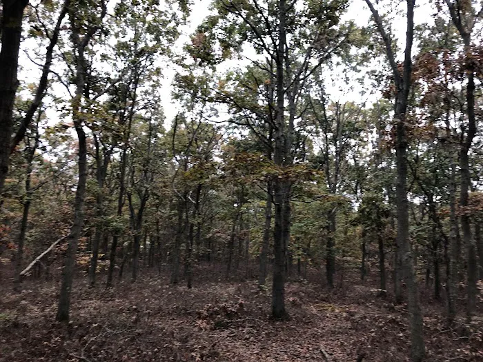 Pine Ridge Conservation Area Picture 1