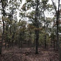 Pine Ridge Conservation Area ico