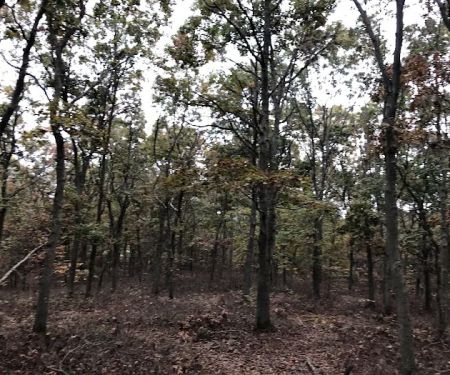 Pine Ridge Conservation Area