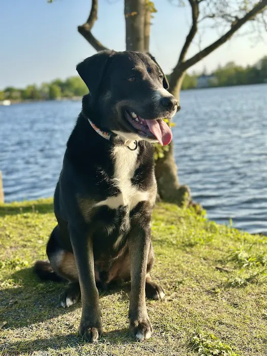 Babylon Village Dog Park (Argyle Lake) Picture 1