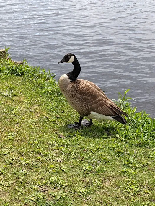 Argyle Lake Park Picture 7