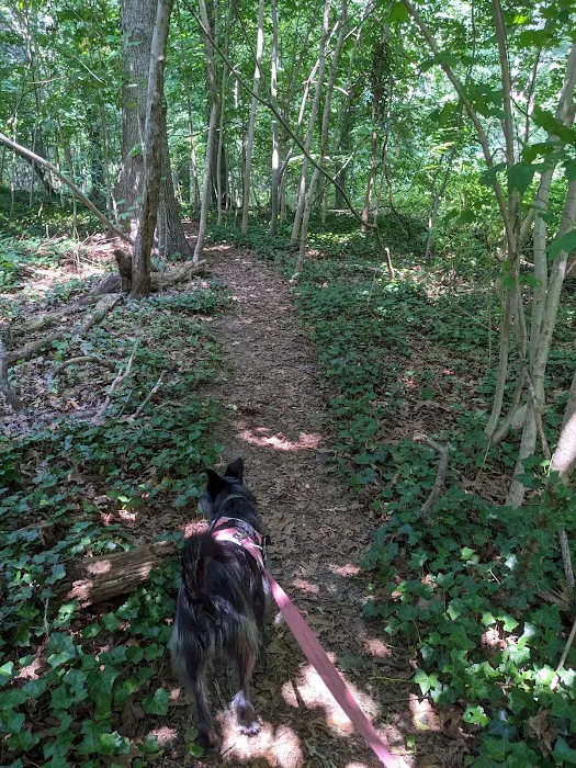 Hilaire Woods Park Picture 7