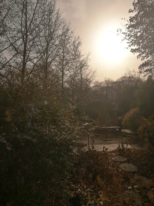 Hilaire Woods Park Picture 6
