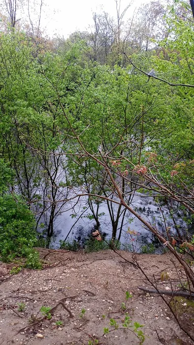 Charles Pond Scenic Area Picture 1