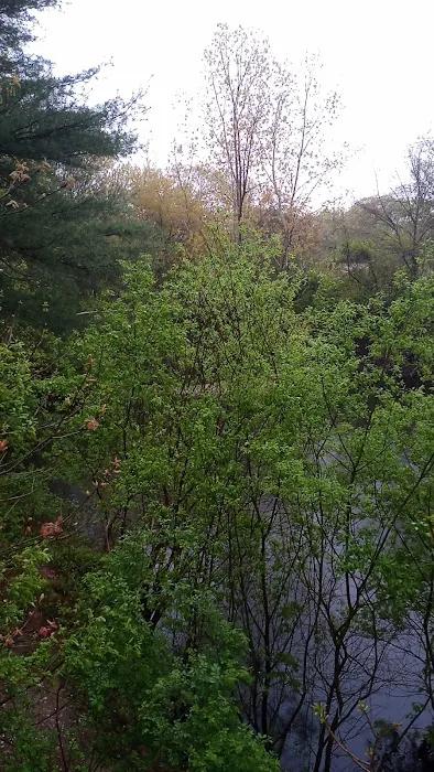 Charles Pond Scenic Area Picture 2