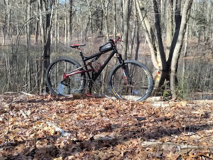 Overton Mountain Bike Trails Picture 2
