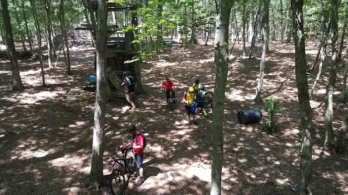 Overton Mountain Bike Trails Picture 7