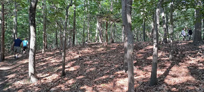 Overton Mountain Bike Trails Picture 9