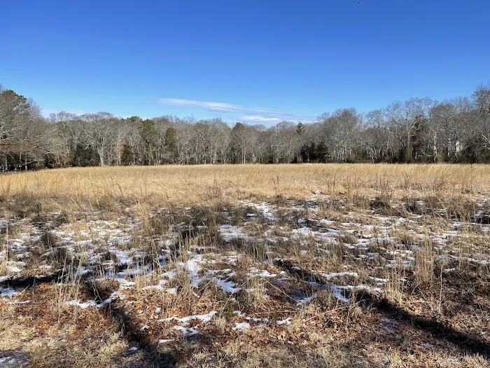 Daniel R. Davis Sanctuary Picture 2