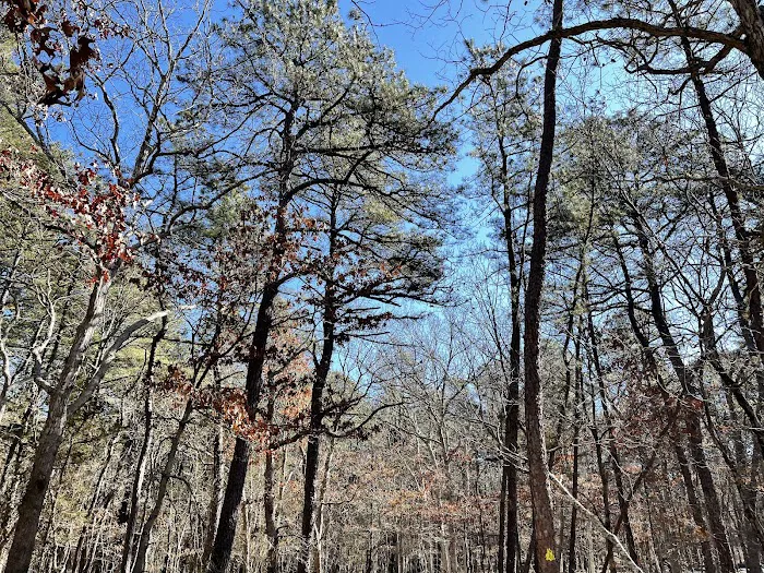 Daniel R. Davis Sanctuary Picture 5