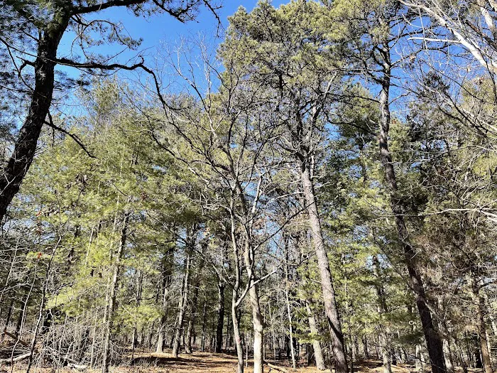 Daniel R. Davis Sanctuary Picture 4
