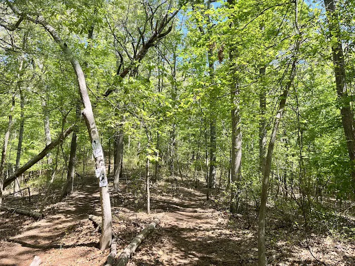 Overton Preserve Picture 3