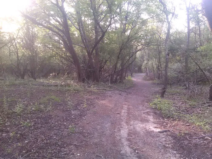 Overton Preserve Picture 8