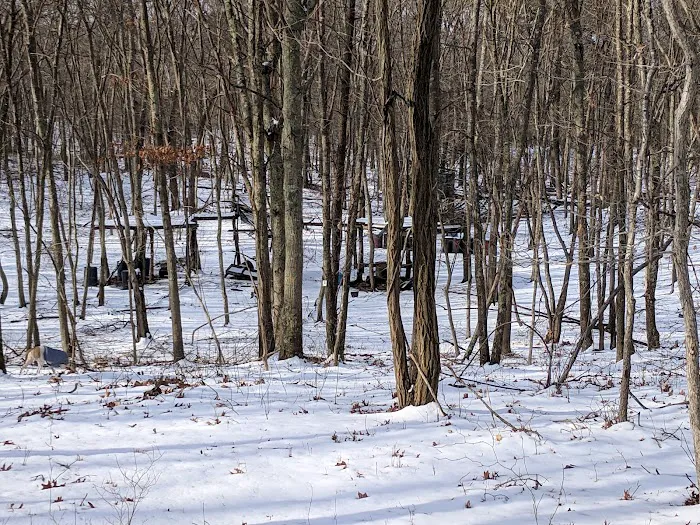 Overton Preserve Picture 4