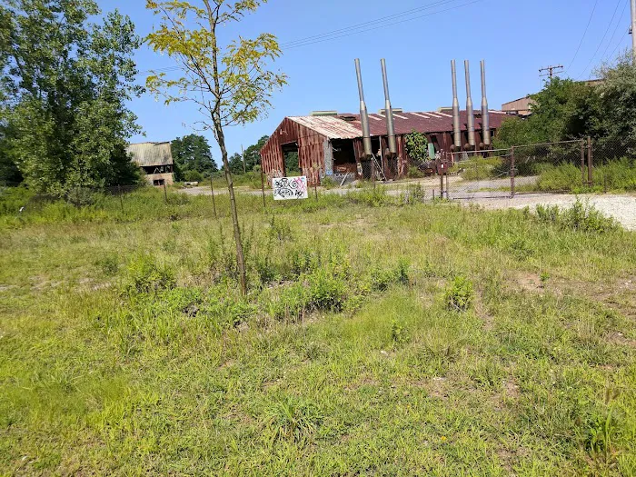 Setauket Greenway Trail Picture 6