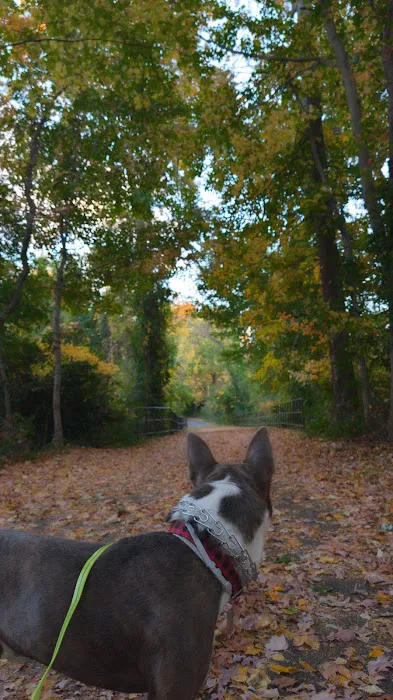 Setauket Greenway Trail Picture 5