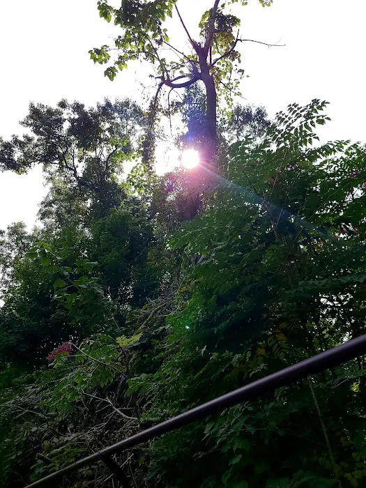 Setauket Greenway Trail Picture 9