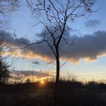 Setauket-Port Jefferson Station Greenway Trail