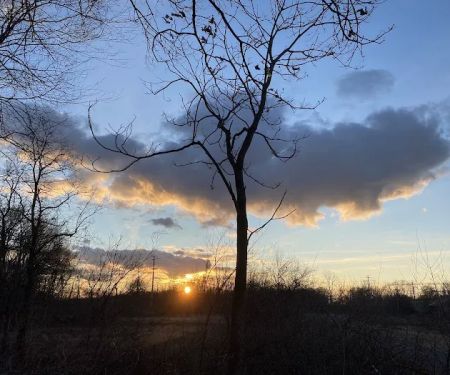 Setauket-Port Jefferson Station Greenway Trail