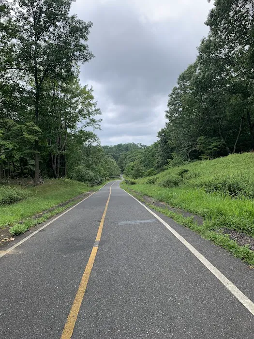 Setauket-Port Jefferson Station Greenway Trail Picture 9