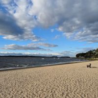 Centerport Beach Park ico