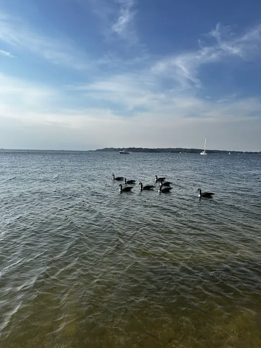 Centerport Beach Park Picture 7