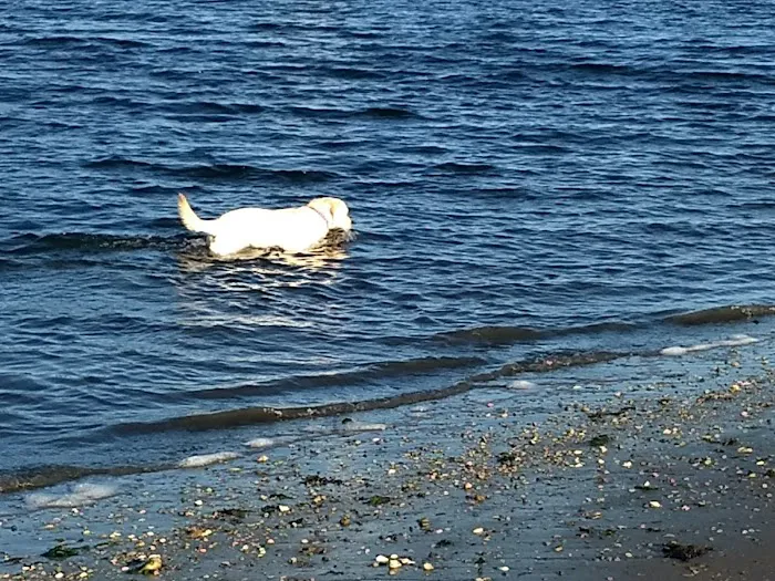 Centerport Beach Park Picture 9