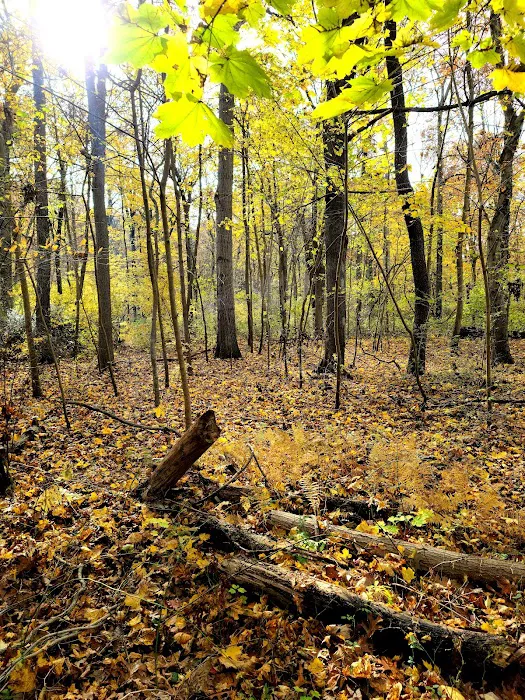 West Hills Park Picture 3