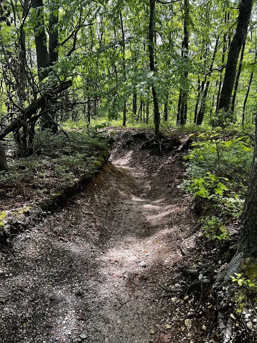 West Hills Park Picture 1