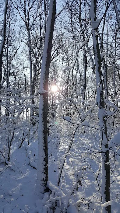 West Hills Park Picture 6