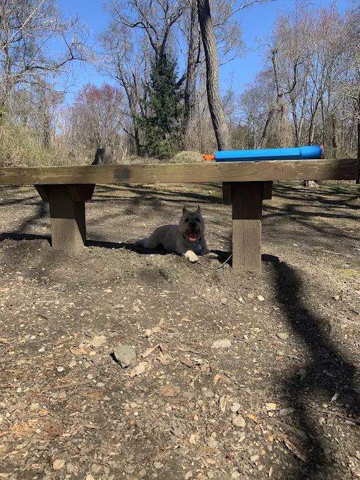West Hills Park Picture 7