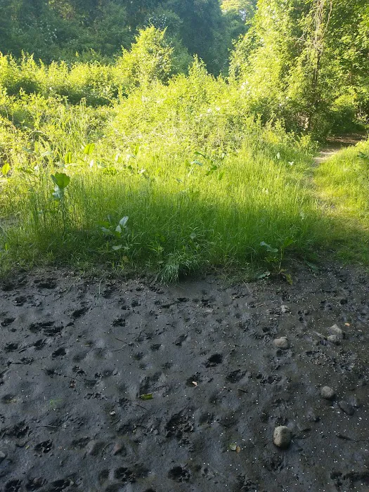 West Hills Park Picture 8