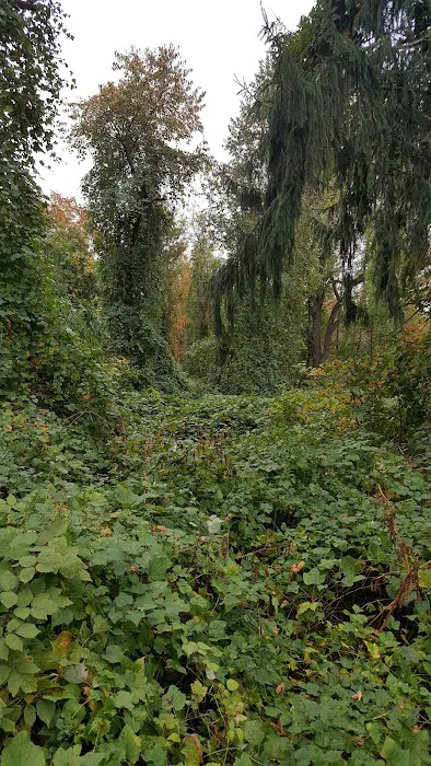 West Hills Park Picture 9
