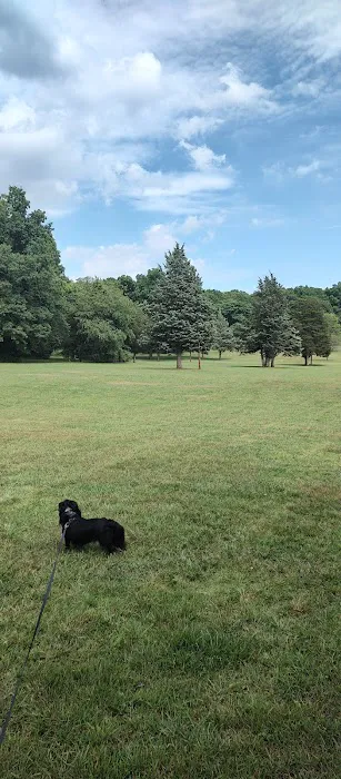 West Hills Small Dog Run Picture 1