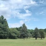 West Hills Small Dog Run
