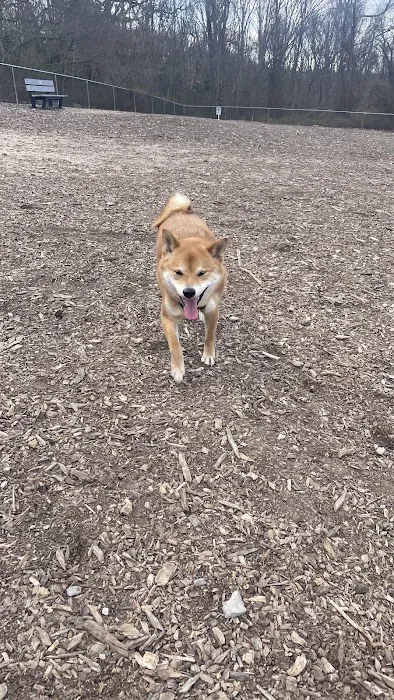 West Hills Small Dog Run Picture 8