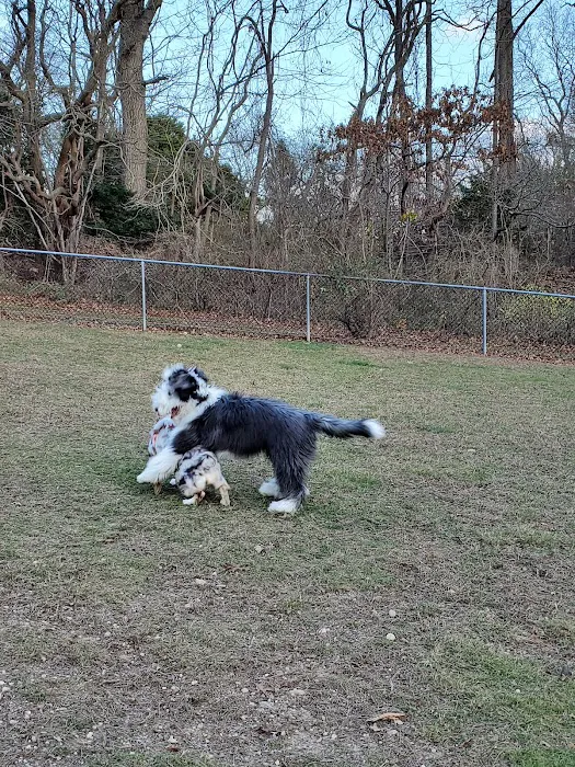 West Hills Small Dog Run Picture 7