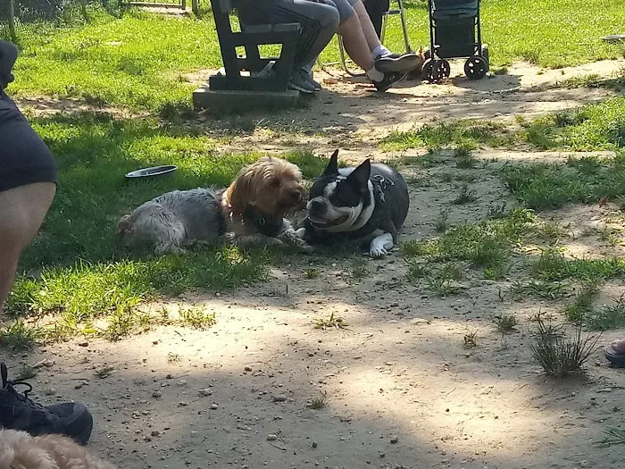 West Hills Small Dog Run Picture 9