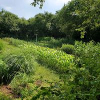 Froehlich Farm Preserve Trailhead ico