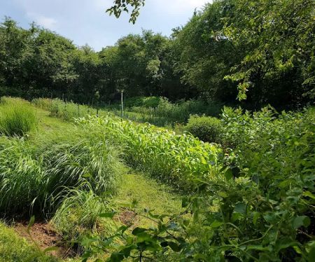 Froehlich Farm Preserve Trailhead
