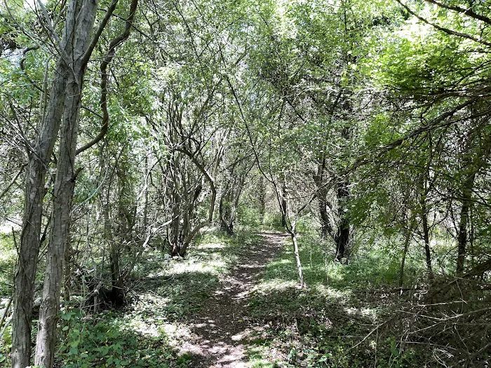 Froehlich Farm Preserve Trailhead Picture 3