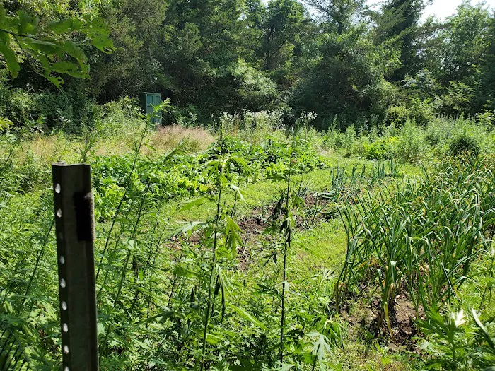 Froehlich Farm Preserve Trailhead Picture 6