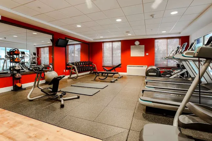 Hilton Garden Inn Melville Picture 8